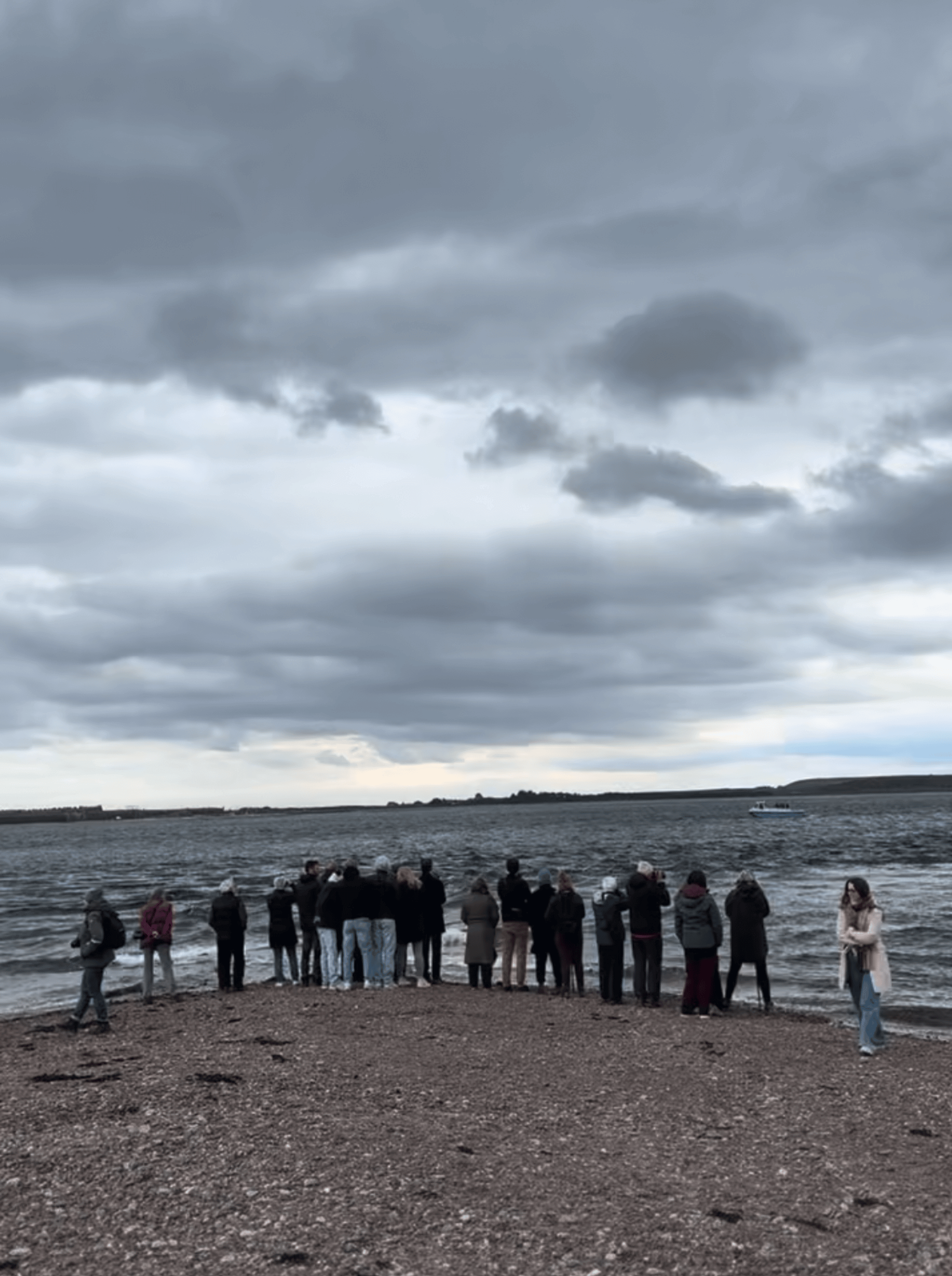 Dolphin watchers at Chanonry Point