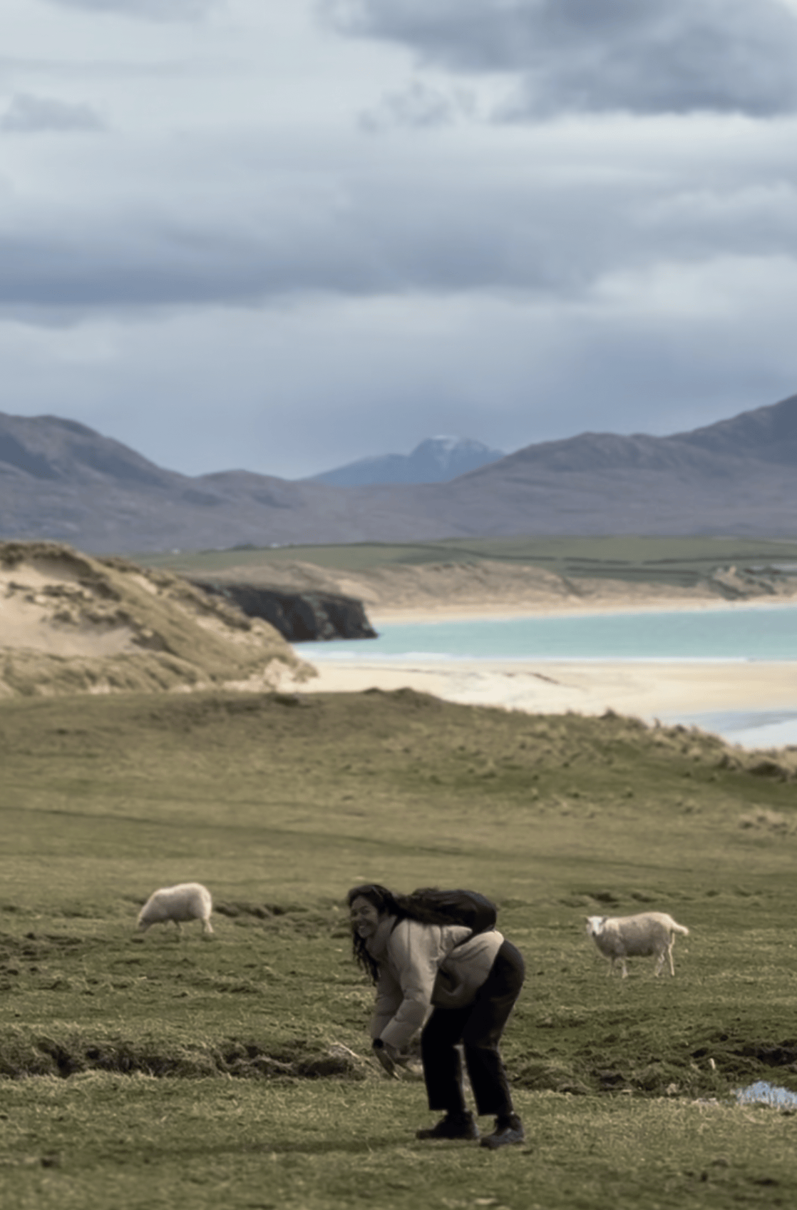 Faraid Head Sheeps