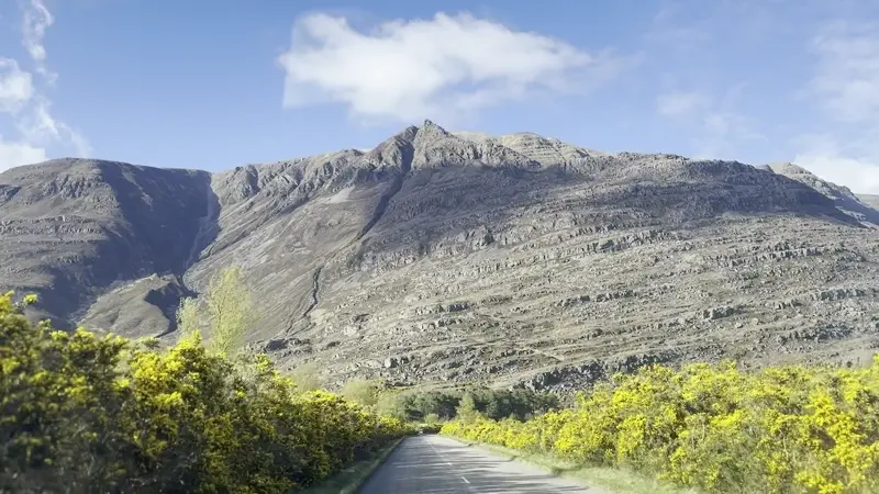 Flower corridor leading into Torridon Hills